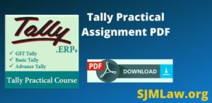 Tally Practical Assignment PDF Download